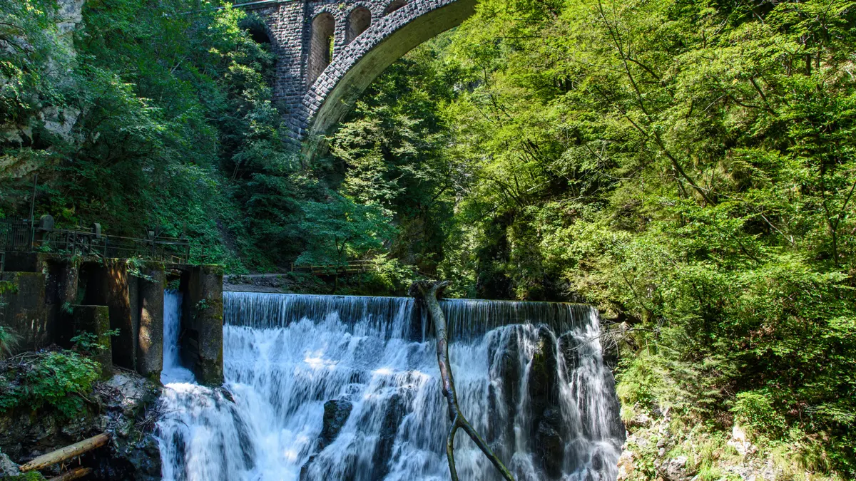 Vintargorge