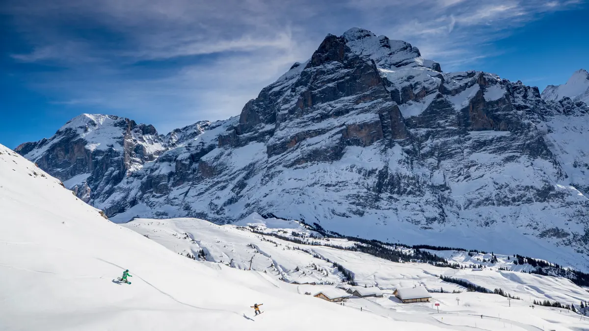 Ski Area