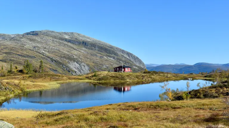 A scenic view of a landscape