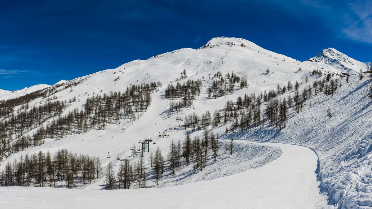 Bluebird day