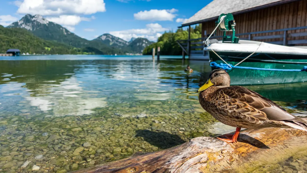 Fuschl Am See