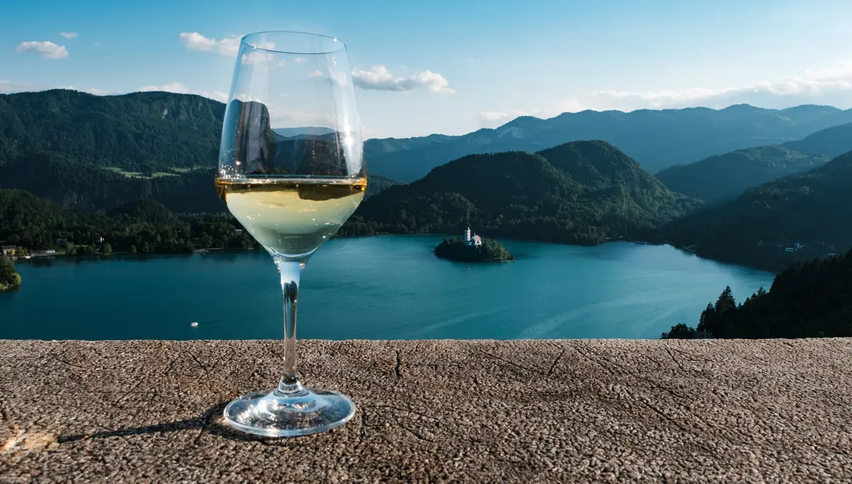 Slovenia Wine