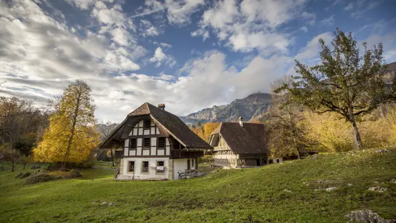 Ballenberg Open Museum