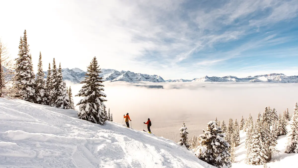 Panoramic Views 
