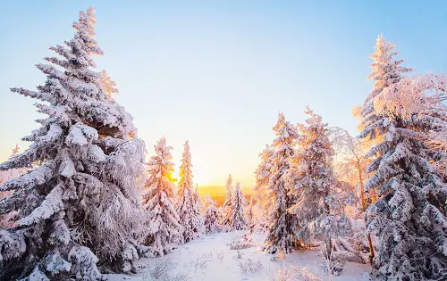 December 500X315