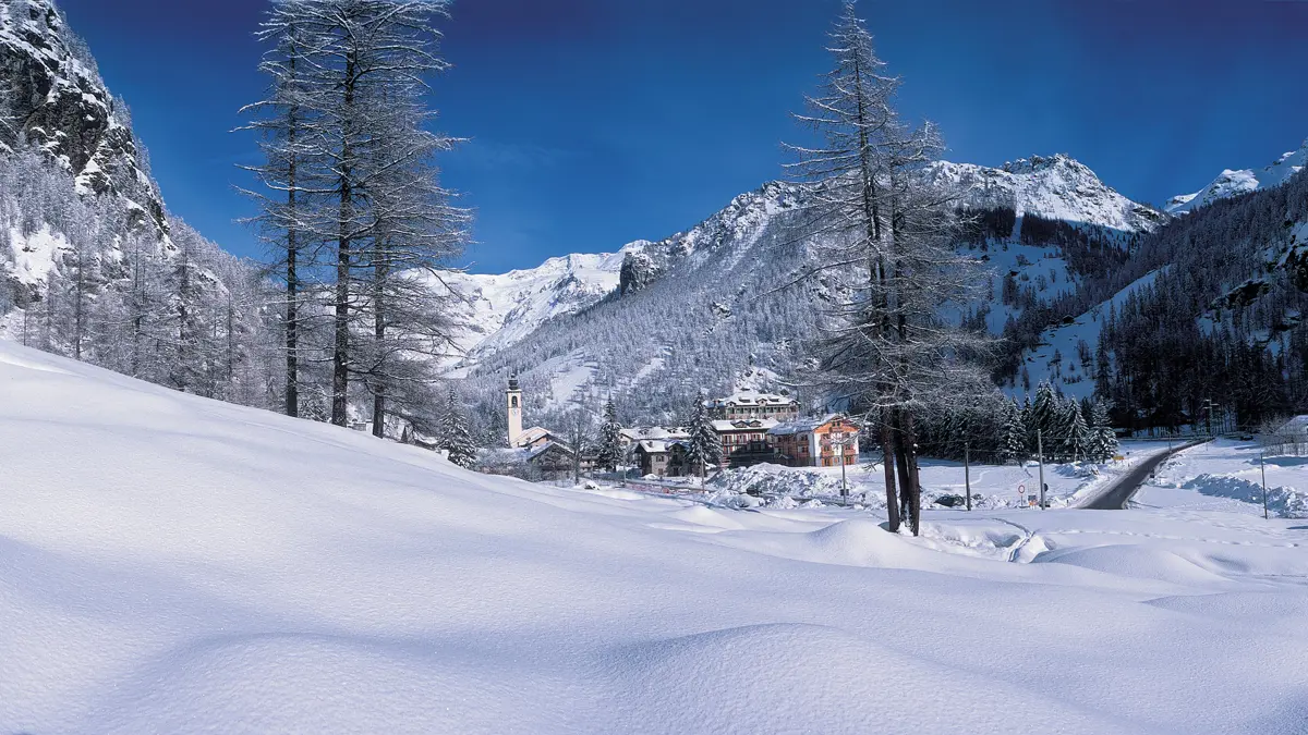 Village View
