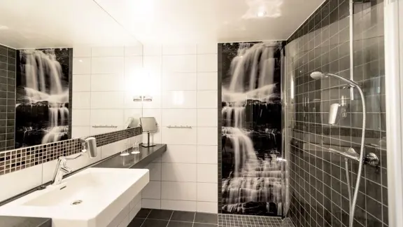 Shower room