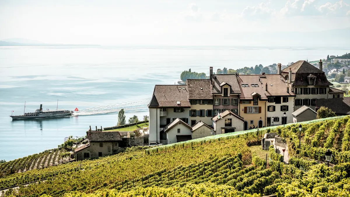 Montreux Lavaux vineyard