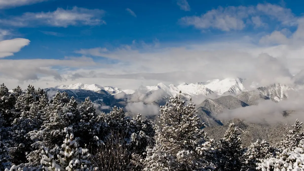 Mountain Views 