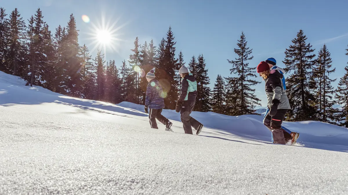 Alpbach Niederau Oberau Ski Juwel Alpbachtal Wildschoenau Village Snow Pistes Ski Juwel Alpbachtal Wildschonau (4)