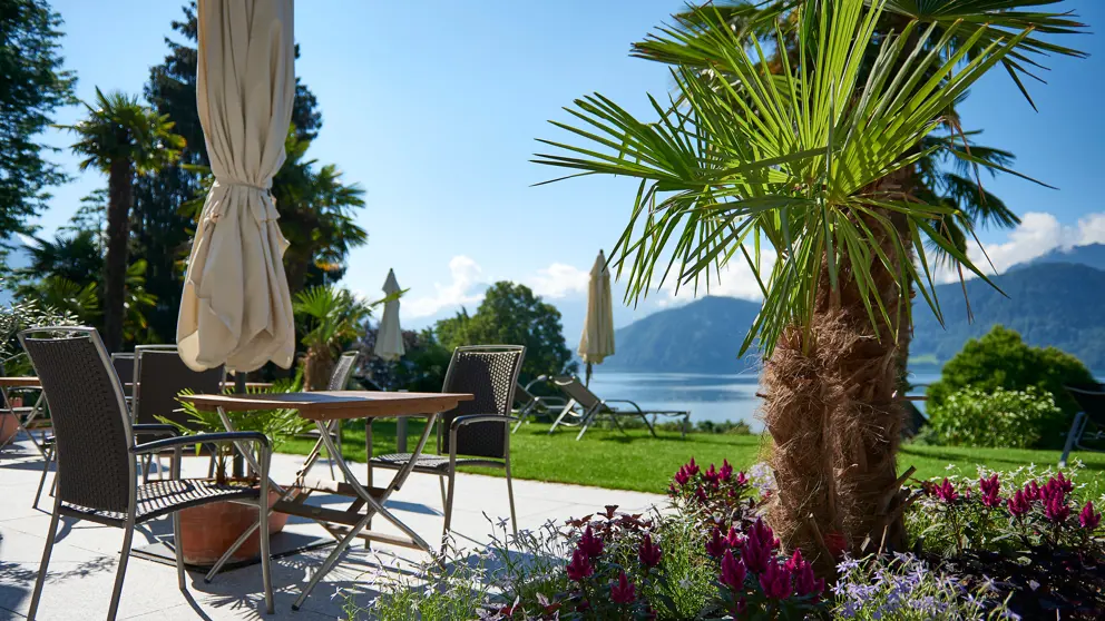 Hotel Alexander Weggis Garden 2