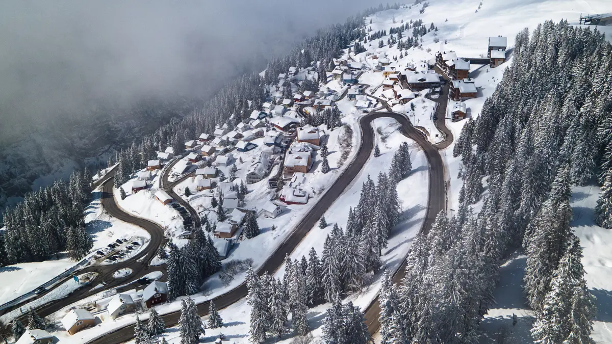 Aerial Image