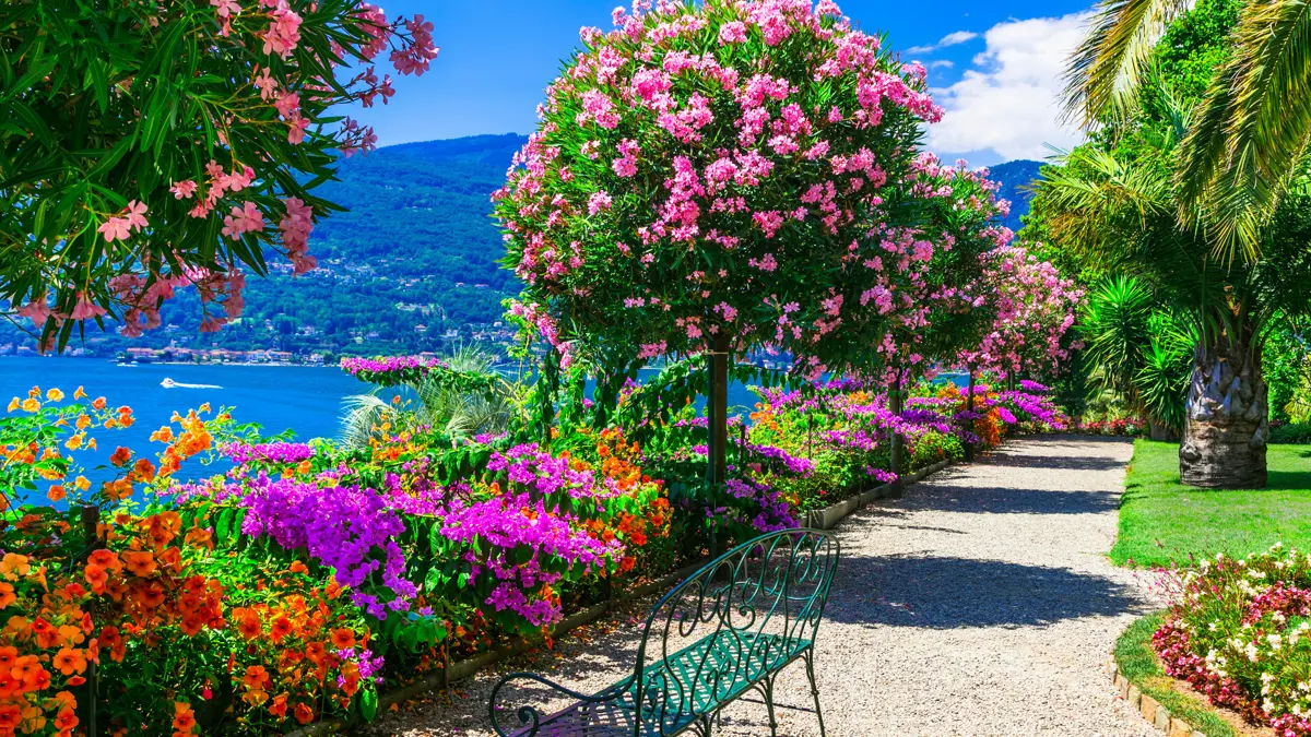 Lake Maggiore