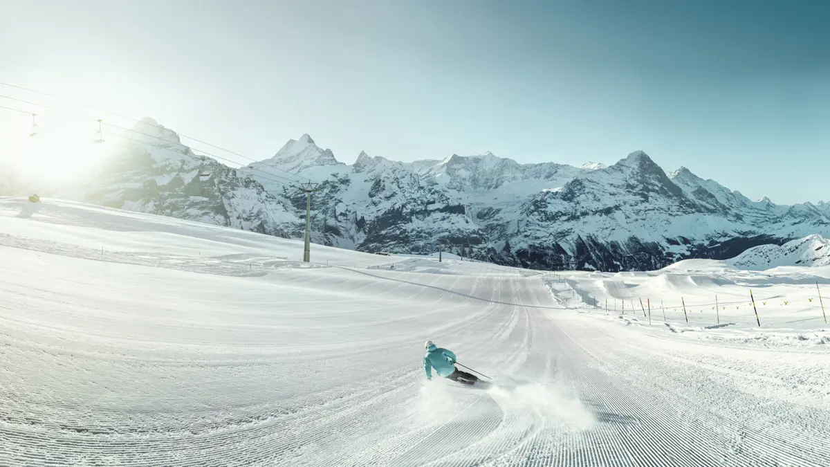 Skier