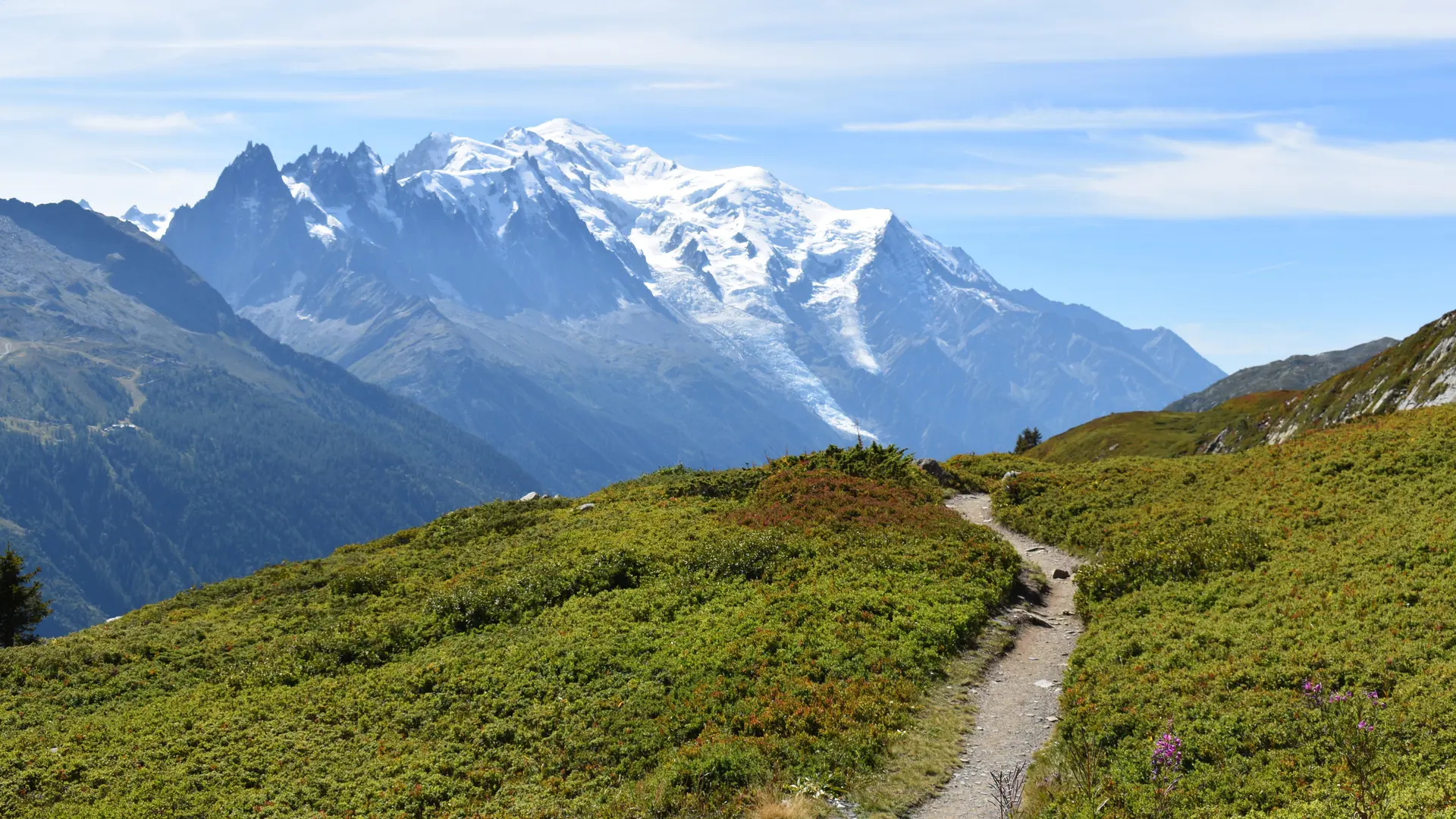 chamonix holidays