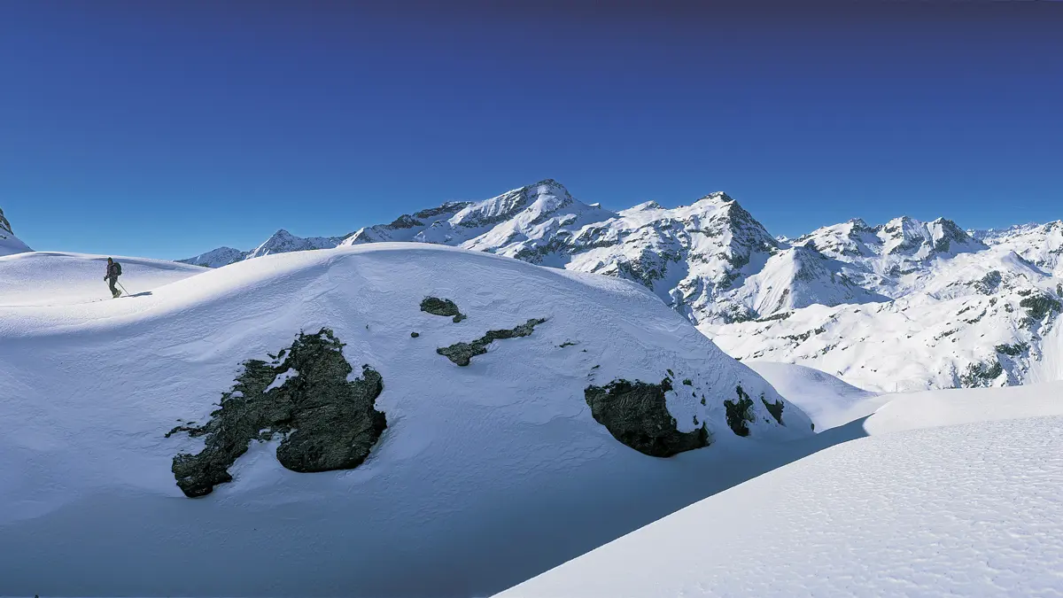 Back Country Snow