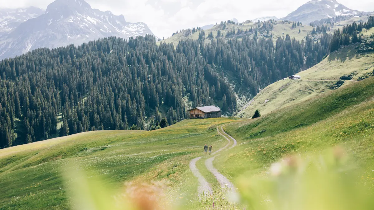 Lech Walking In The Mountains