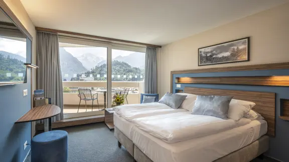 Deluxe twin room