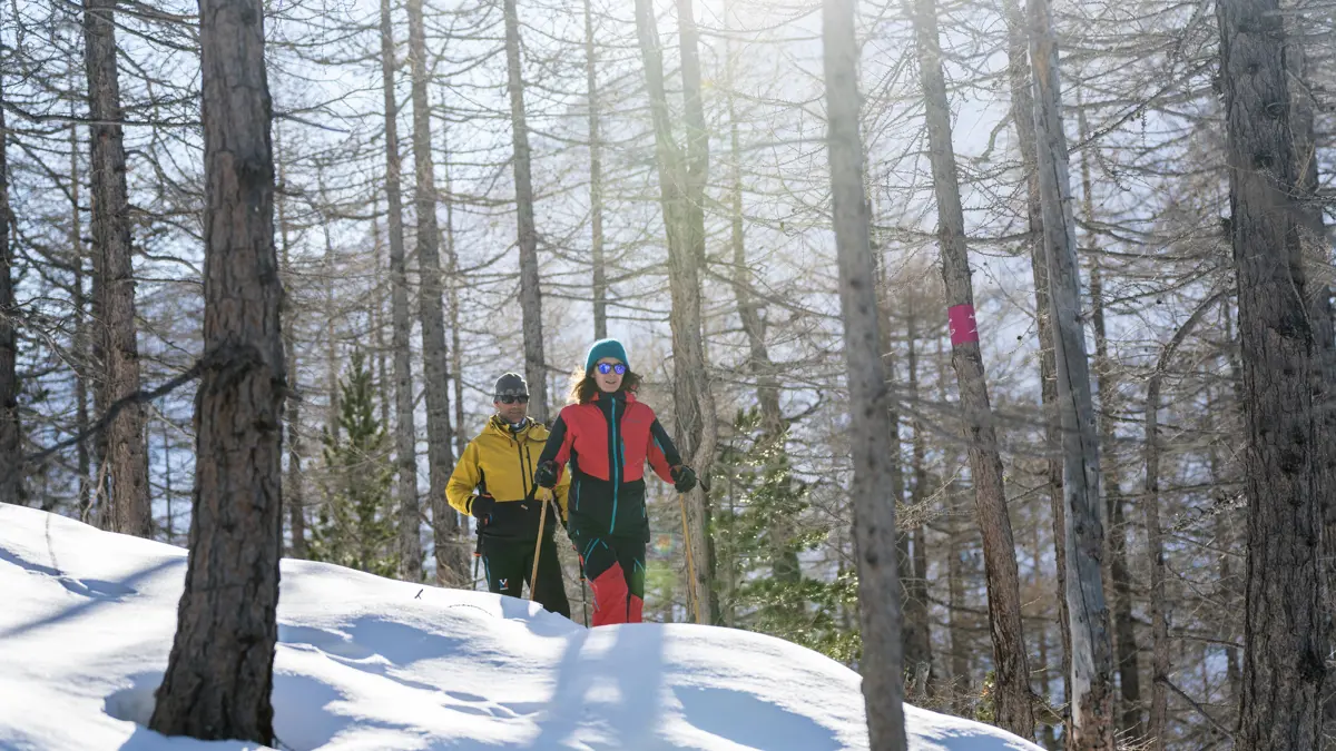 Winter Walking