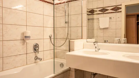 Standard room bathroom