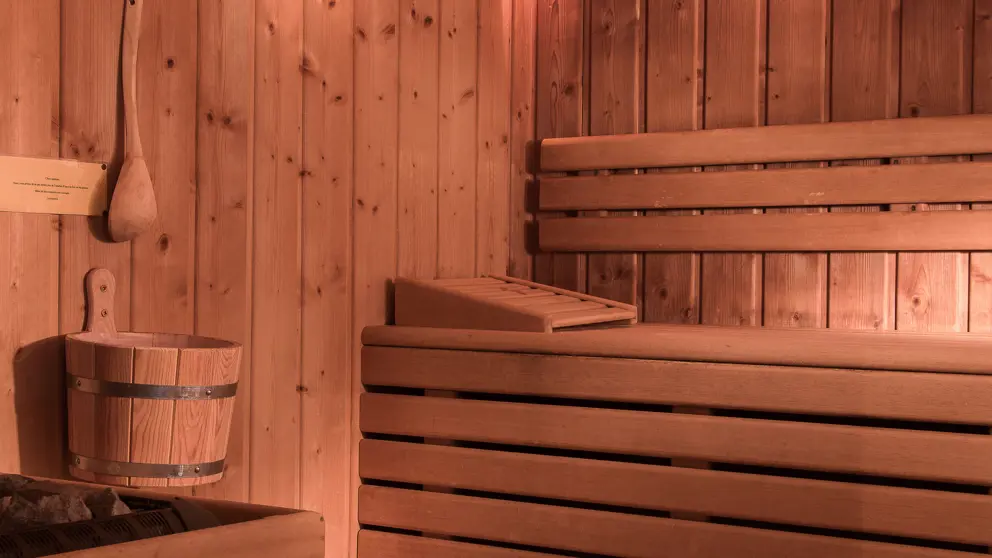 Hotel Alpen Roc La Clusaz Spa Sauna