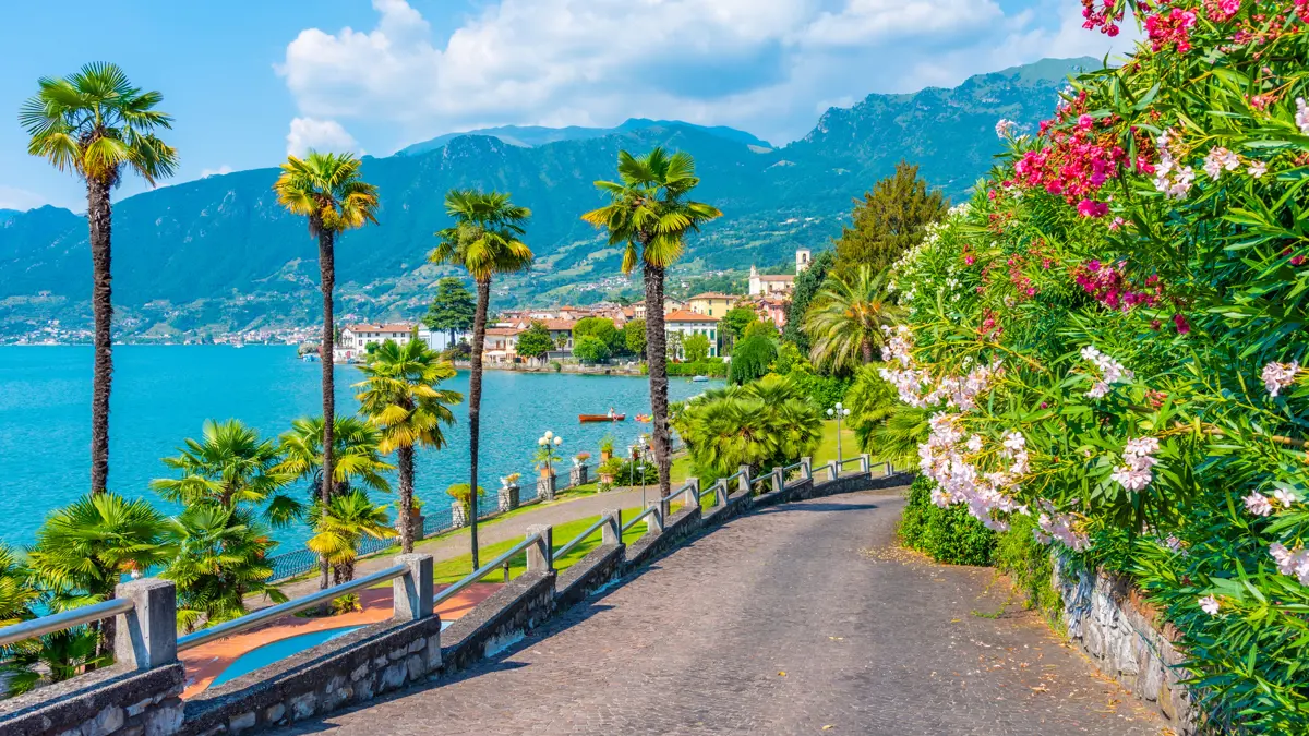 Floral Lakeside Path In Sulzano